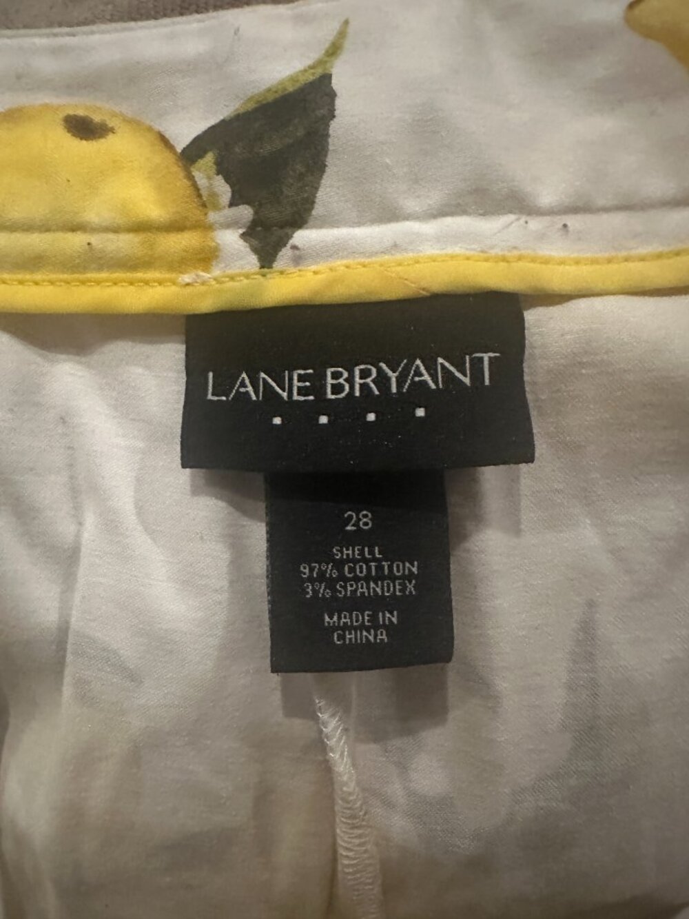Lemon Shorts - Picture 2 of 3